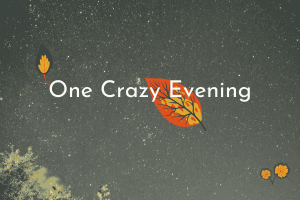 Read more about the article One  Evening too Crazy (Part 2)