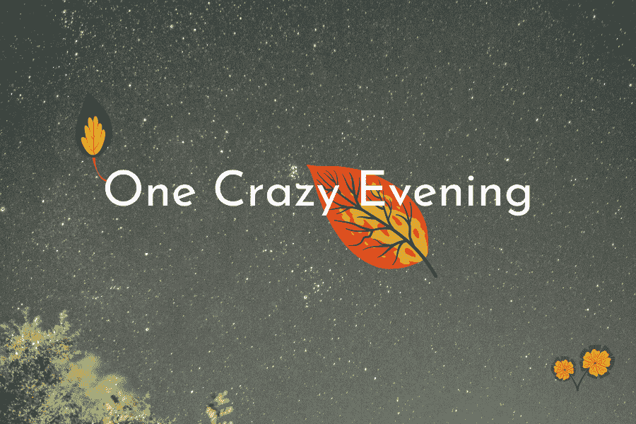 Read more about the article One  Evening too Crazy (Part 2)